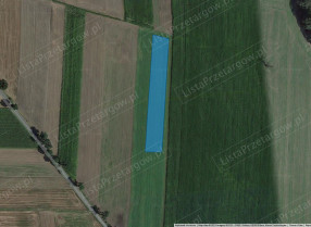 Image category
