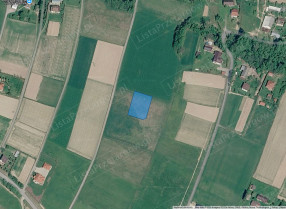 Nieruchomość