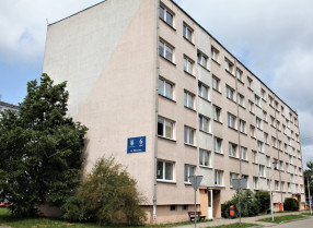 Image category