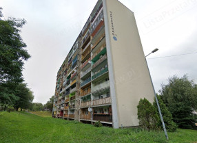 Image category