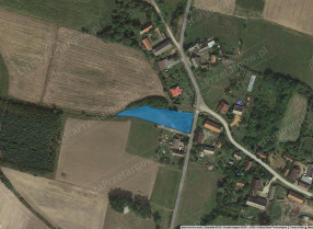 Image category