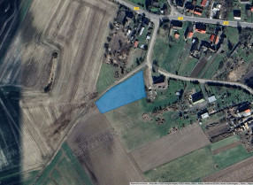 Image category