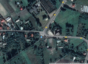 Image category