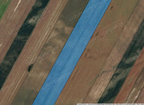 Image category
