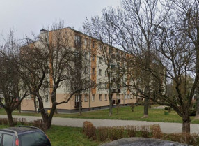 Image category