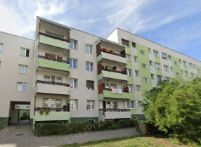 Image category