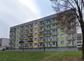 Image category