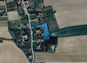Image category