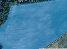 Image category
