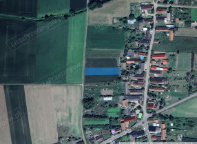 Image category