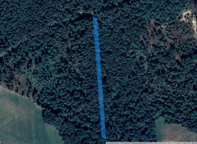 Image category