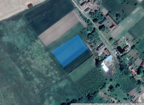 Image category