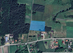 Nieruchomość