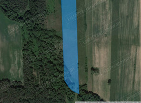 Image category