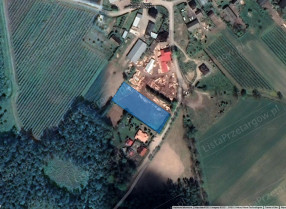 Image category