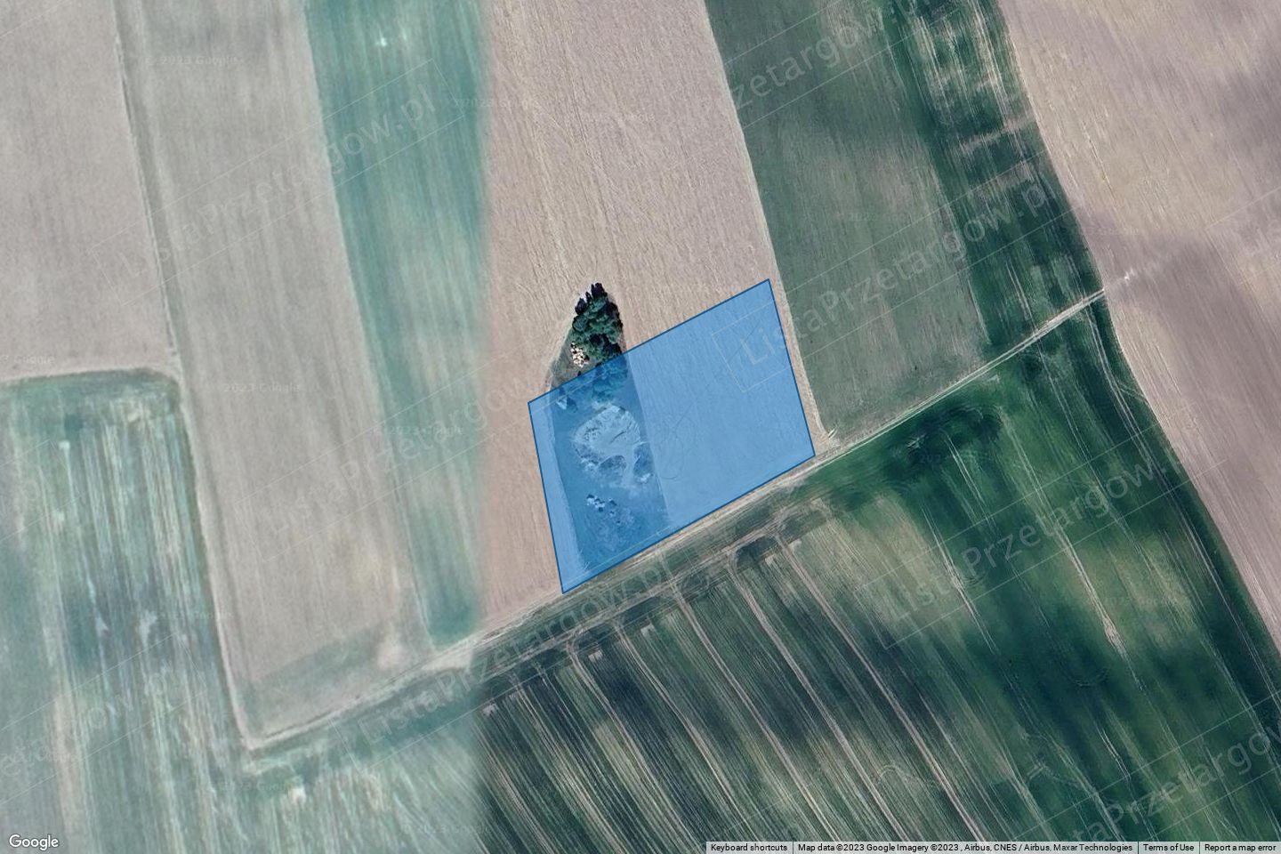 Zdjęcie nieruchomości
