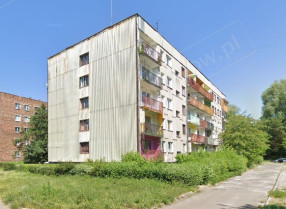 Image category