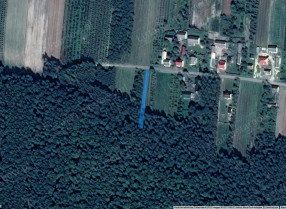 Image category