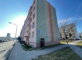 Image category