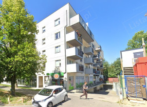 Image category