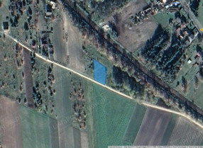 Image category