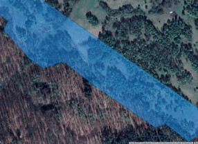 Image category