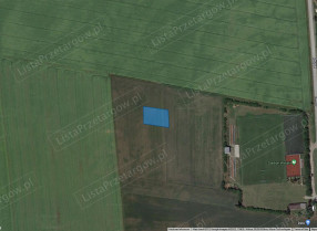 Image category