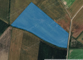 Image category