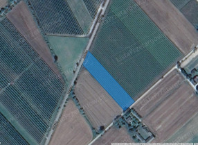 Image category