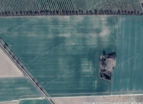 Image category