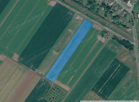 Zdjęcie nieruchomości