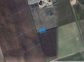 Image category