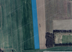 Image category