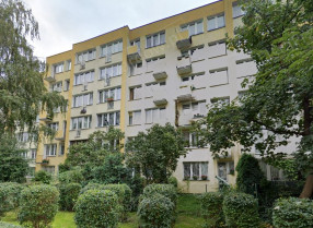 Image category