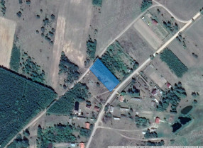 Image category