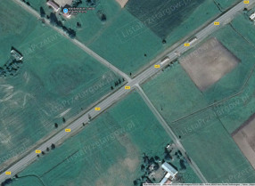 Image category