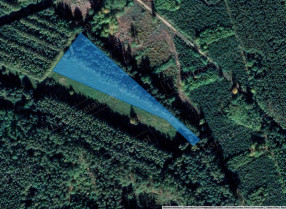 Image category