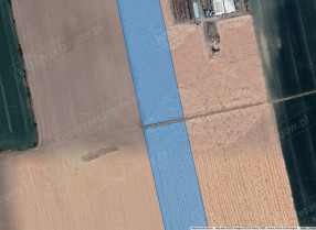Image category