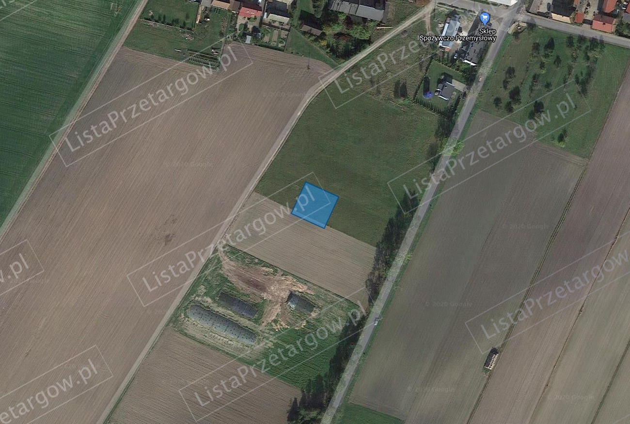 Przetargi, Działki, Boguszyn, Wielkopolskie