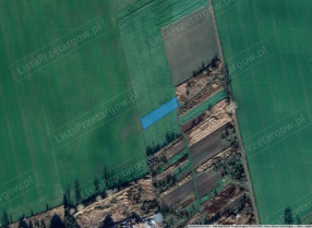 Image category