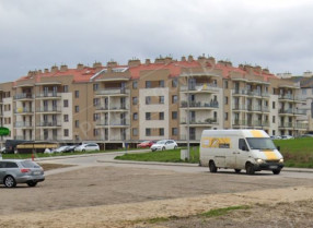 Image category