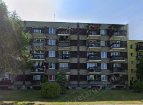 Image category