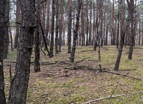 Nieruchomość