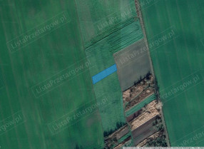 Image category