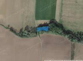 Image category