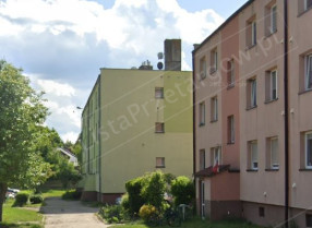 Image category
