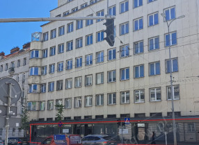 Nieruchomość