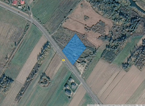 Nieruchomość