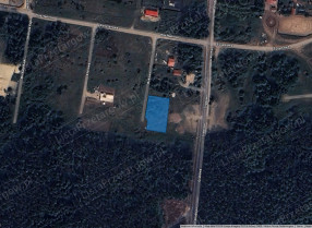 Image category
