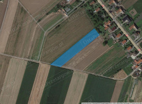 Nieruchomość